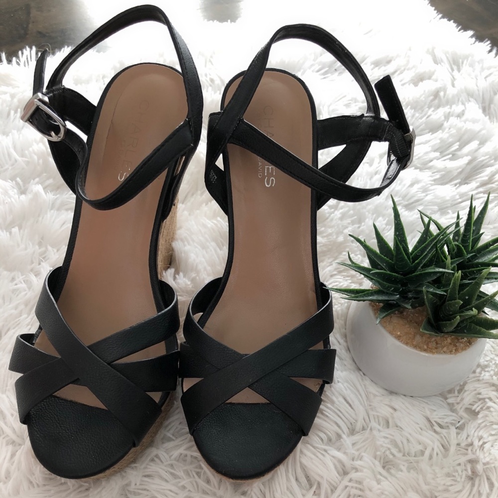 Charles David wedge sandals